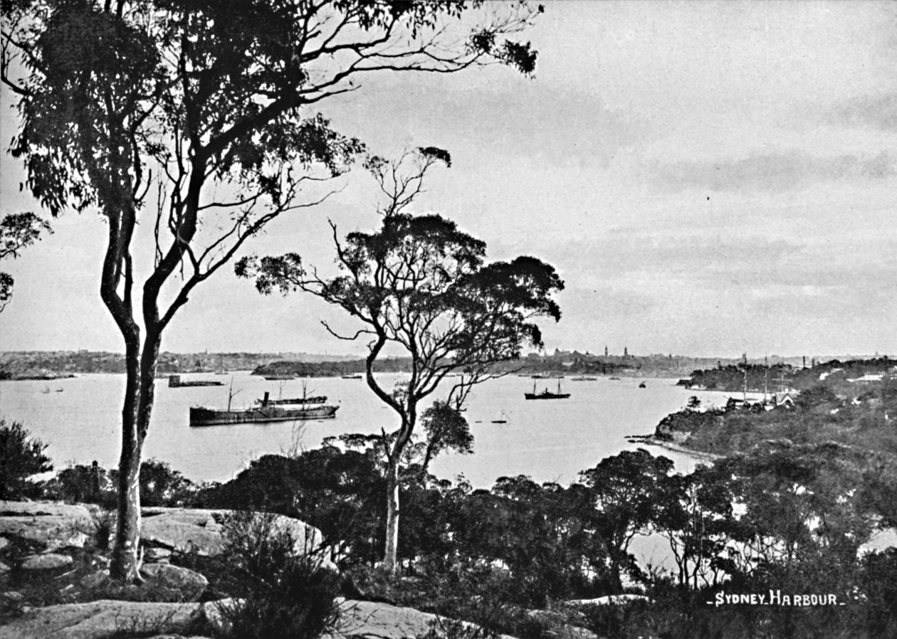 Sydney Harbour, från Cremorne Point, c1900. av Unbekannt