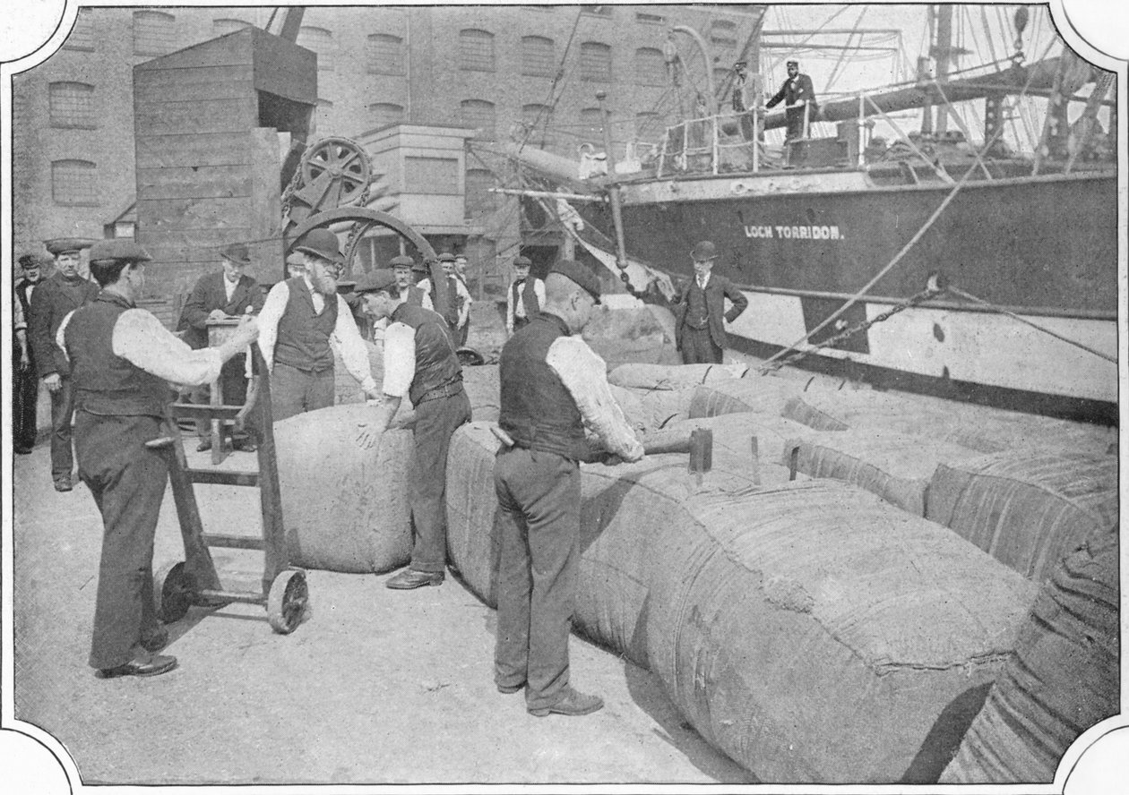 Tallying ullbalar vid London Docks, c1900 1901 av Unbekannt