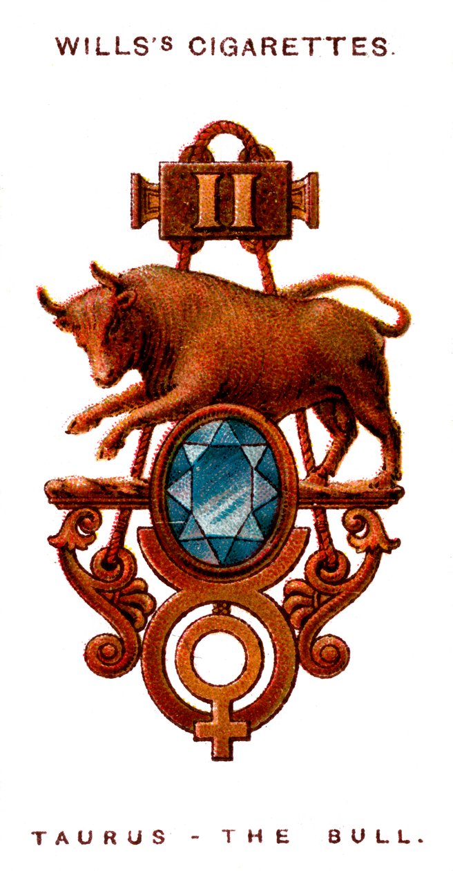 Oxen, Tjuren, 1923 av Unbekannt