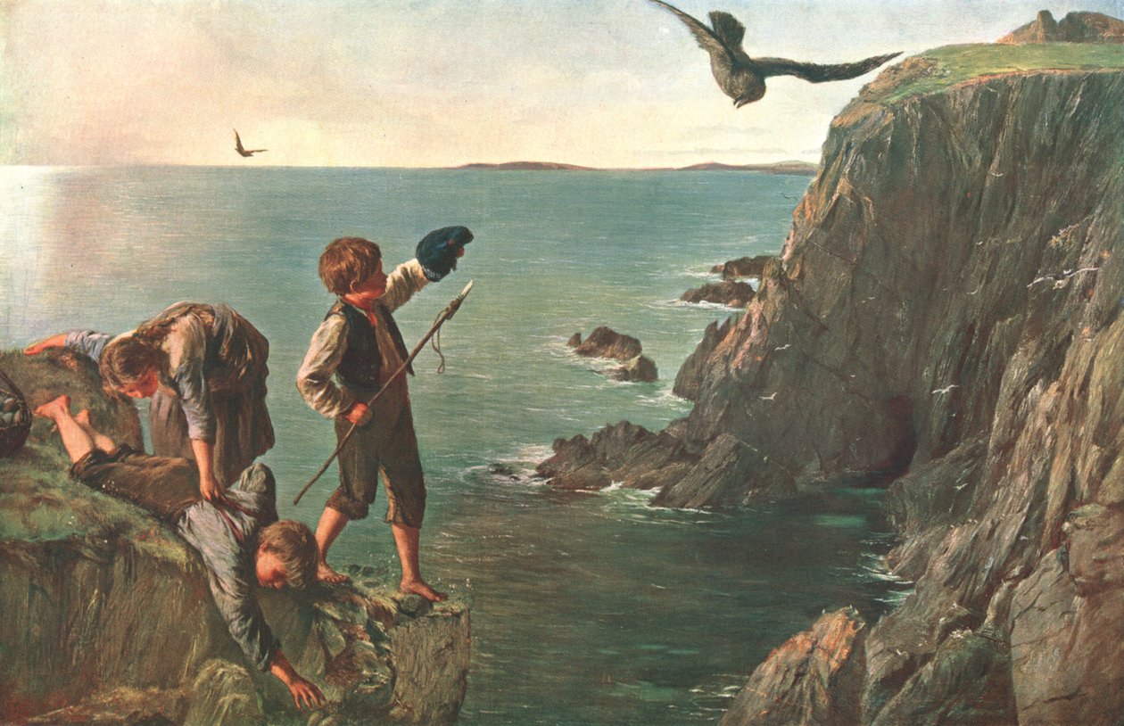 The Bonxie, Shetland, 1873, c1902. av Unbekannt
