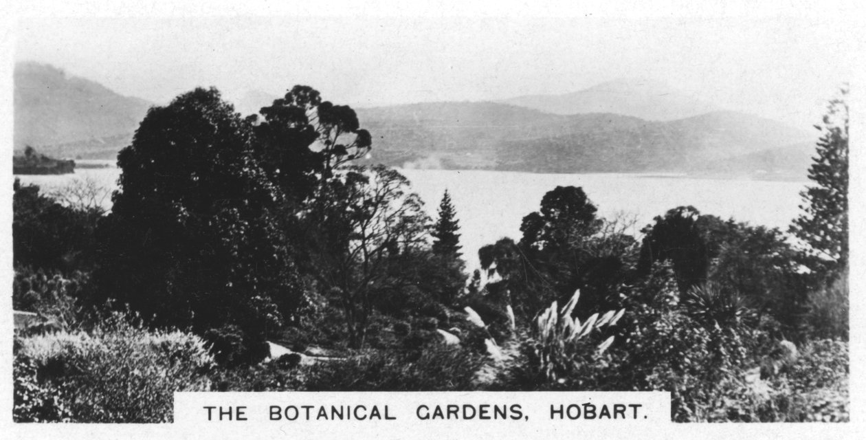 Botaniska trädgården, Hobart, Tasmanien, 1928 av Unbekannt