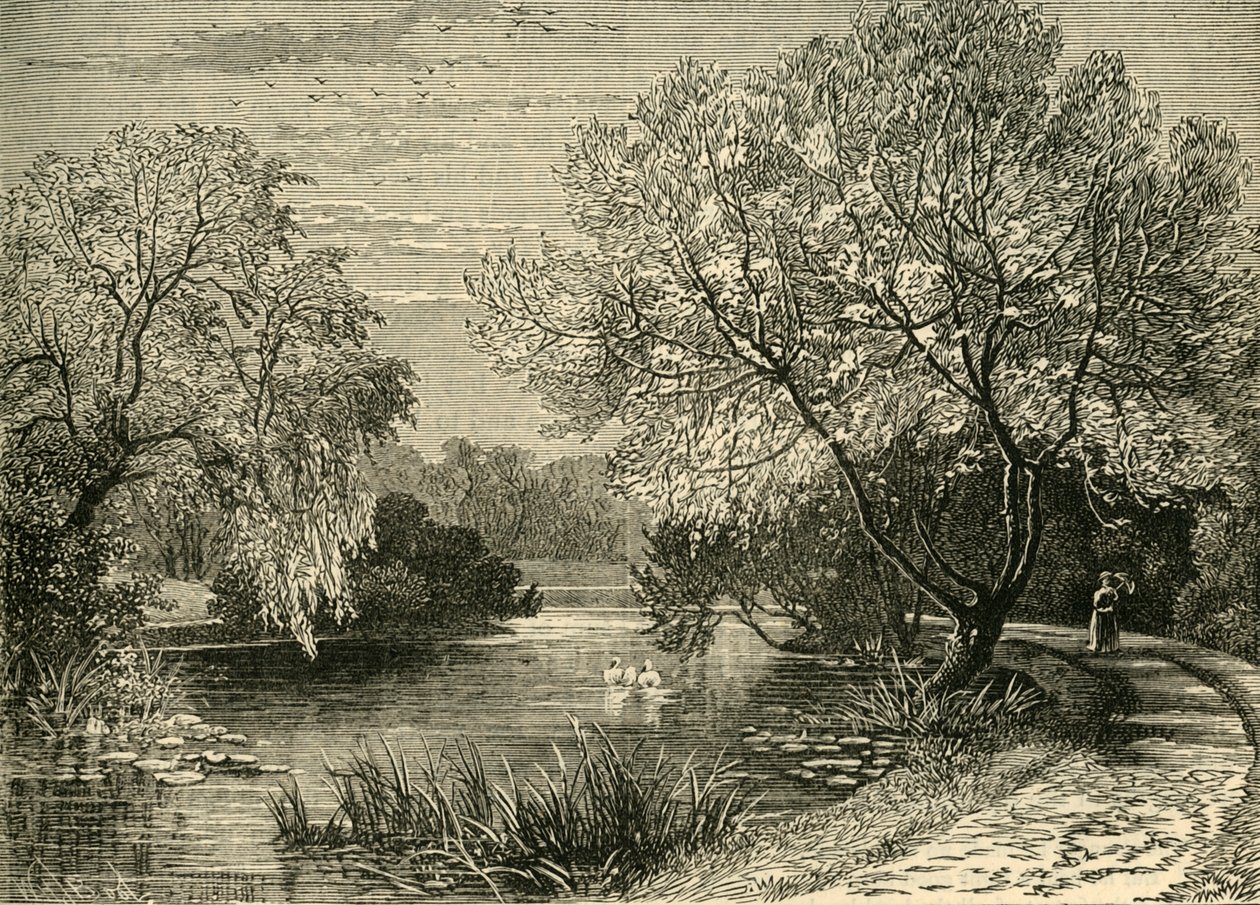 Botaniska trädgården, Regents Park, c1876. av Unbekannt
