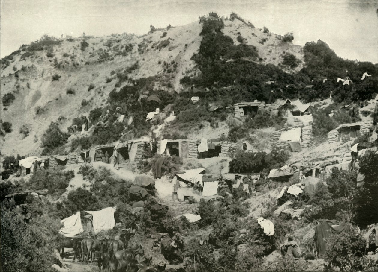 De brittiska trupperna på Gallipolihalvön, 1919. av Unbekannt