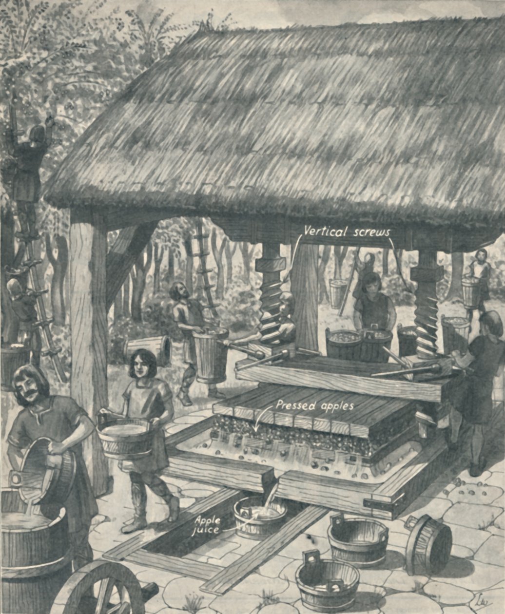 Ciderpressen under medeltiden, c1934 av Unbekannt
