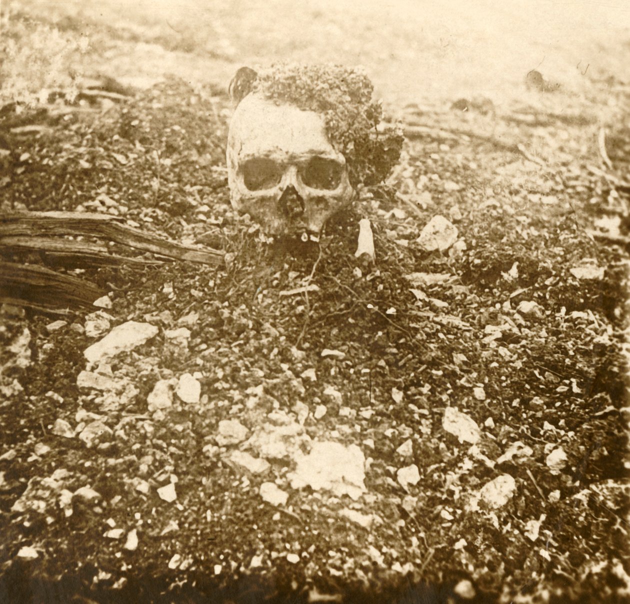 Kronprinsen, Verdun, norra Frankrike, 1916 av Unbekannt