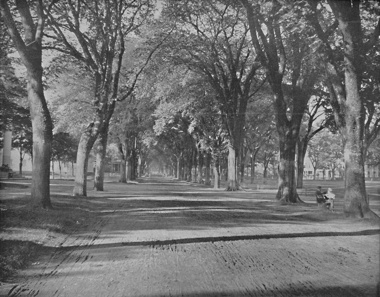 The Elms, New Haven, Connecticut, c1897. av Unbekannt