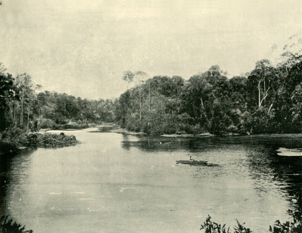 Ennoggera-reservoaren, 1901. av Unbekannt