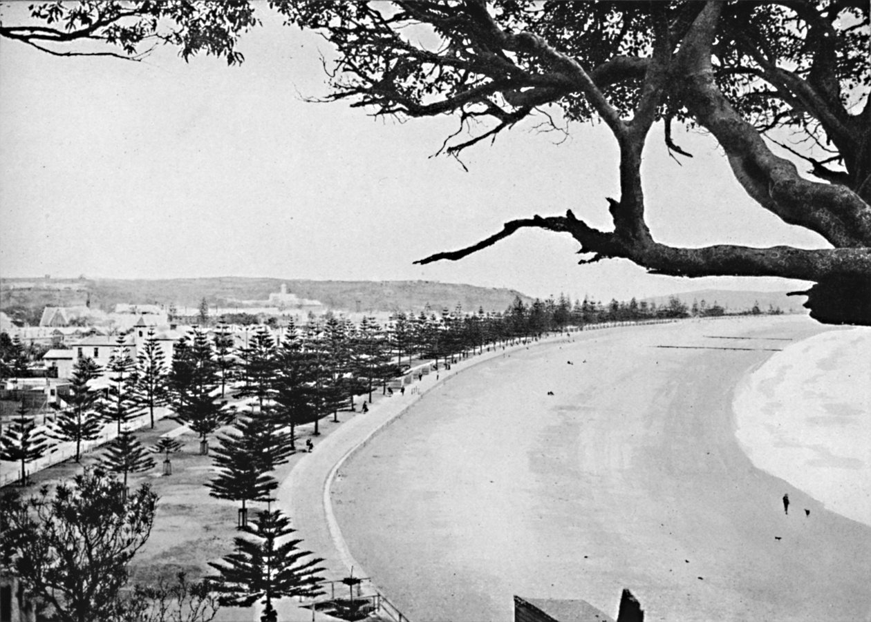 Esplanaden, Manly Beach, c1900. av Unbekannt