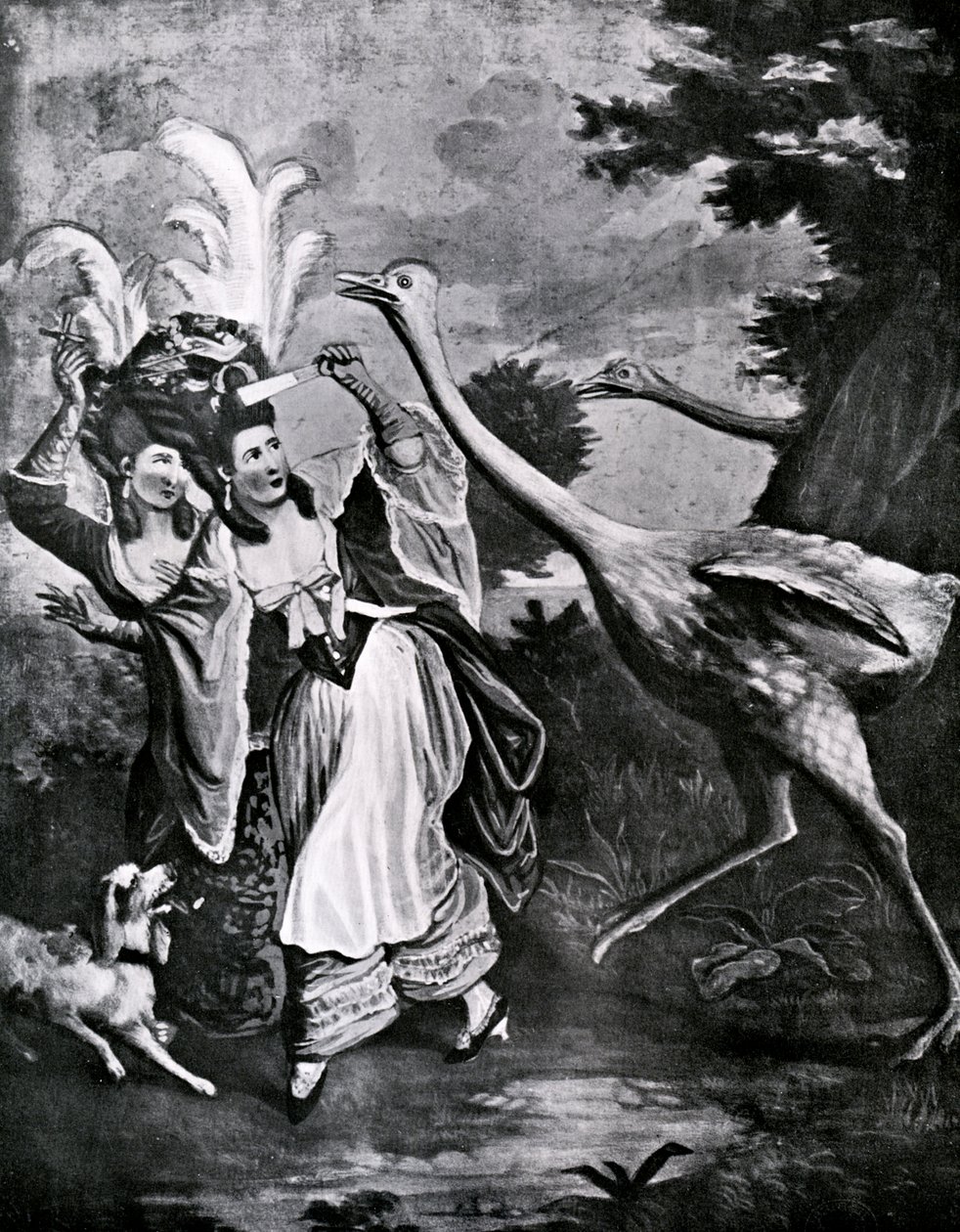 The Feathered Fair in a Fright, 1700-talet av Unbekannt