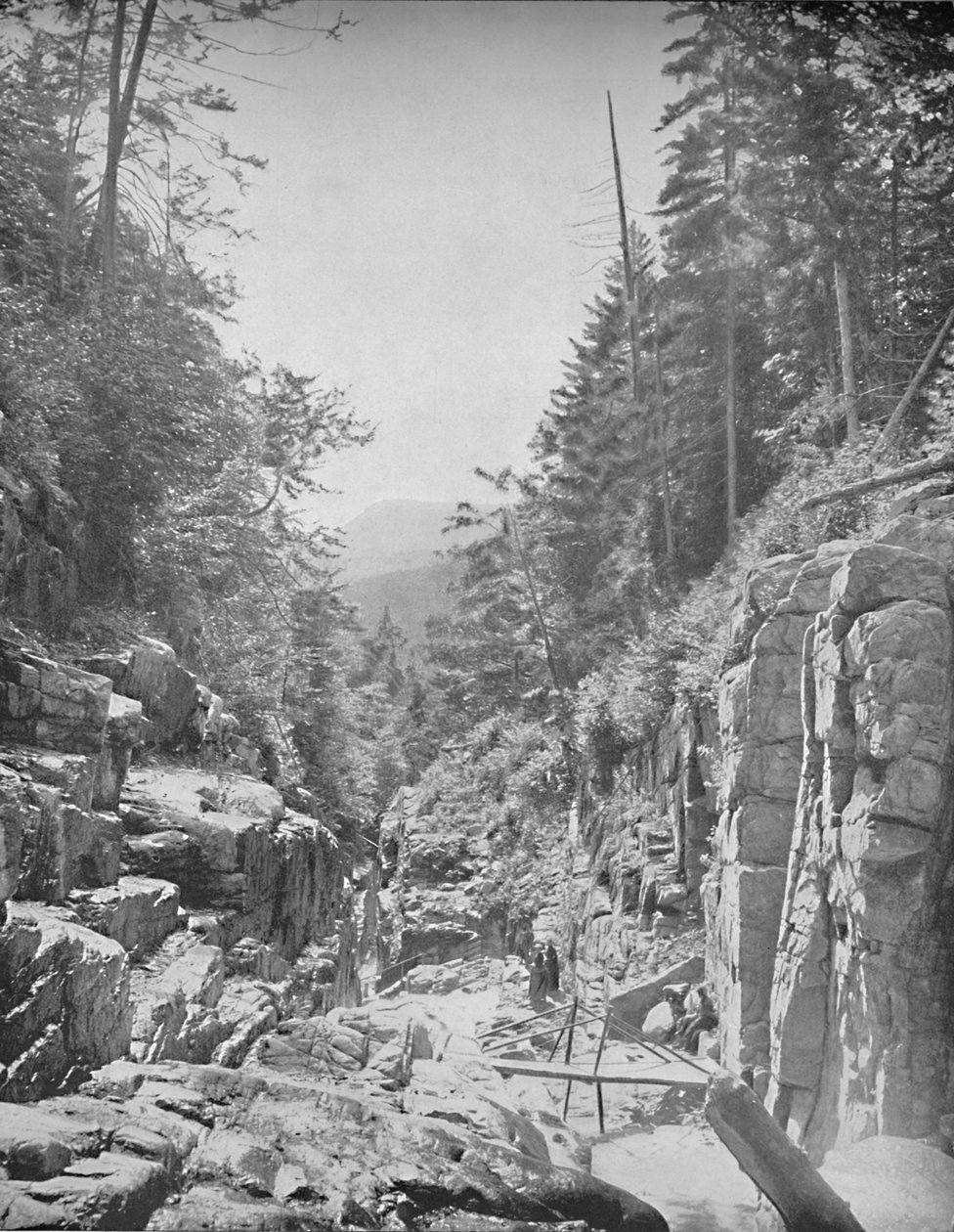 The Flume, Franconia White Mountains, N.H., c1897. av Unbekannt
