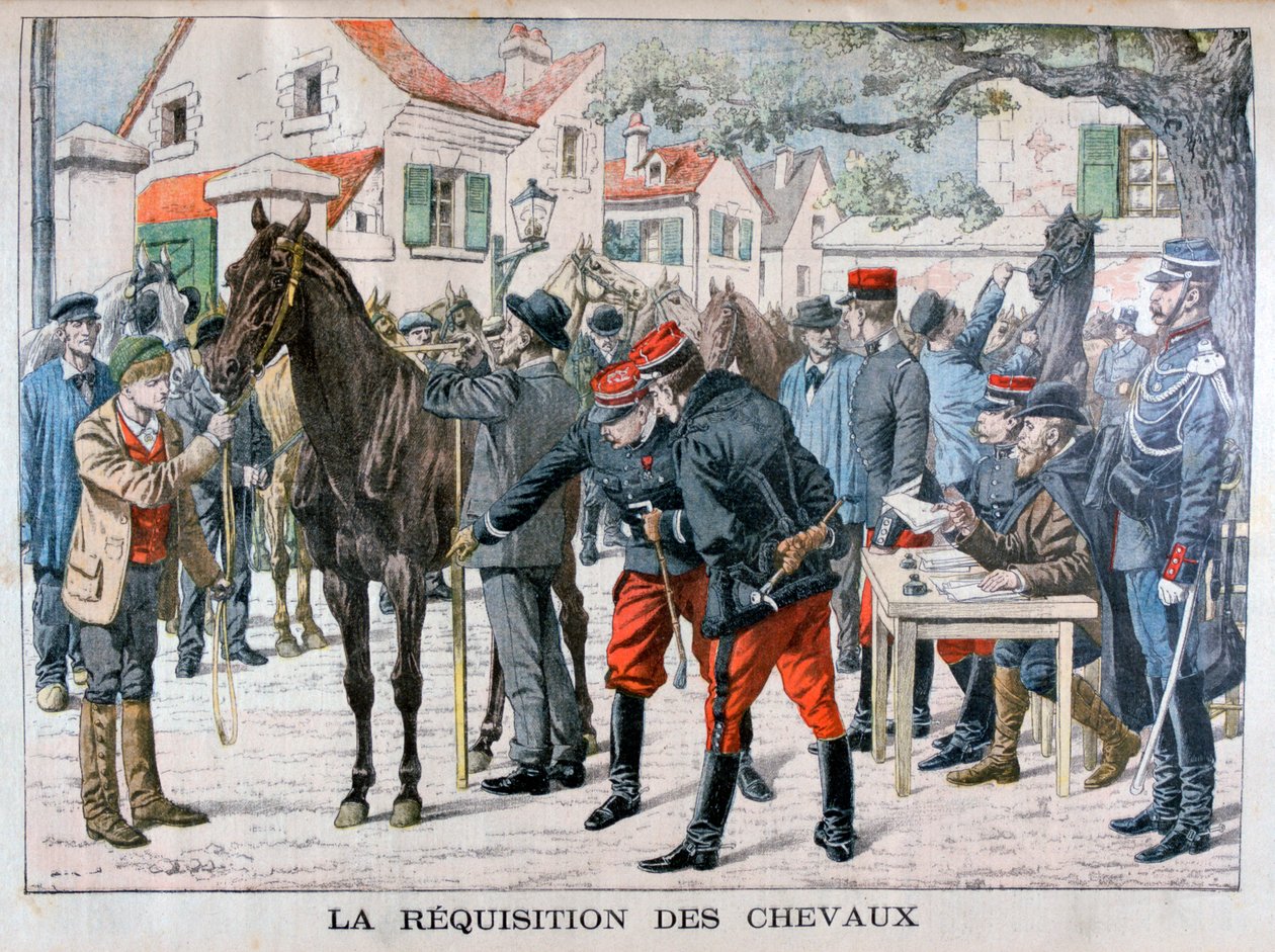 Den franska armén köper hästar, 1904 av Unbekannt