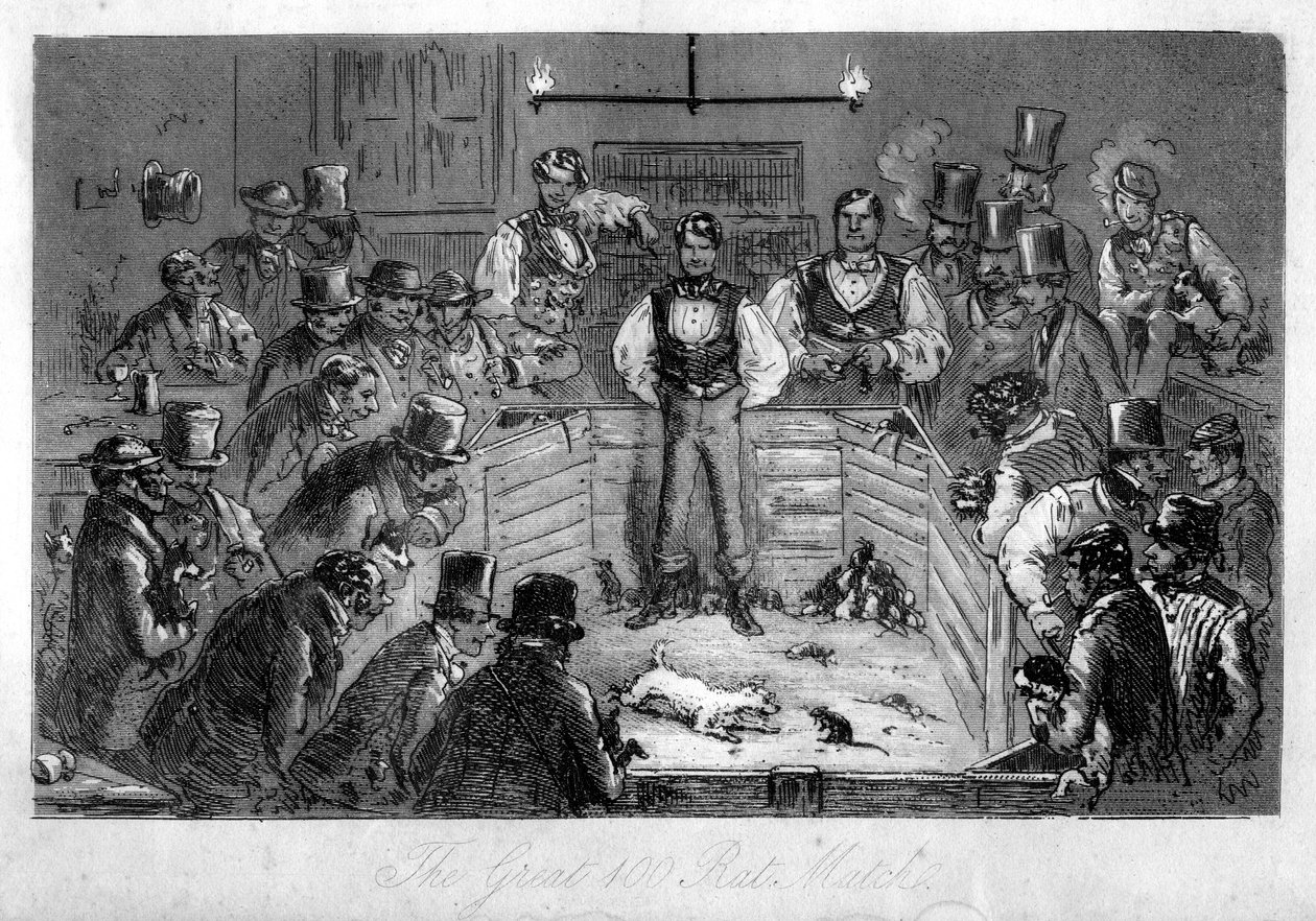 The Great 100 Rat Match, 1800-talet av Unbekannt
