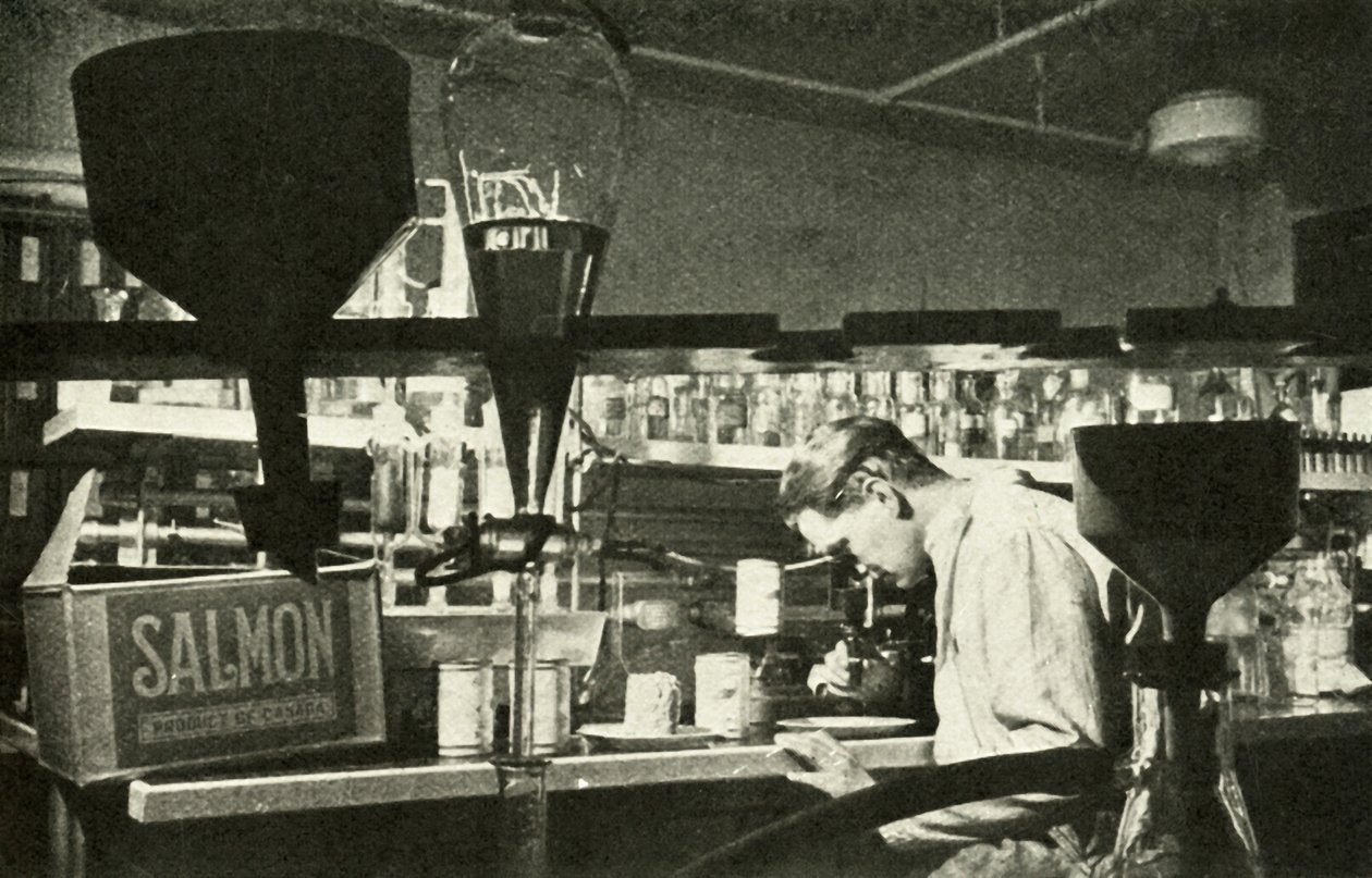 Den stora laxindustrin, c1948. av Unbekannt