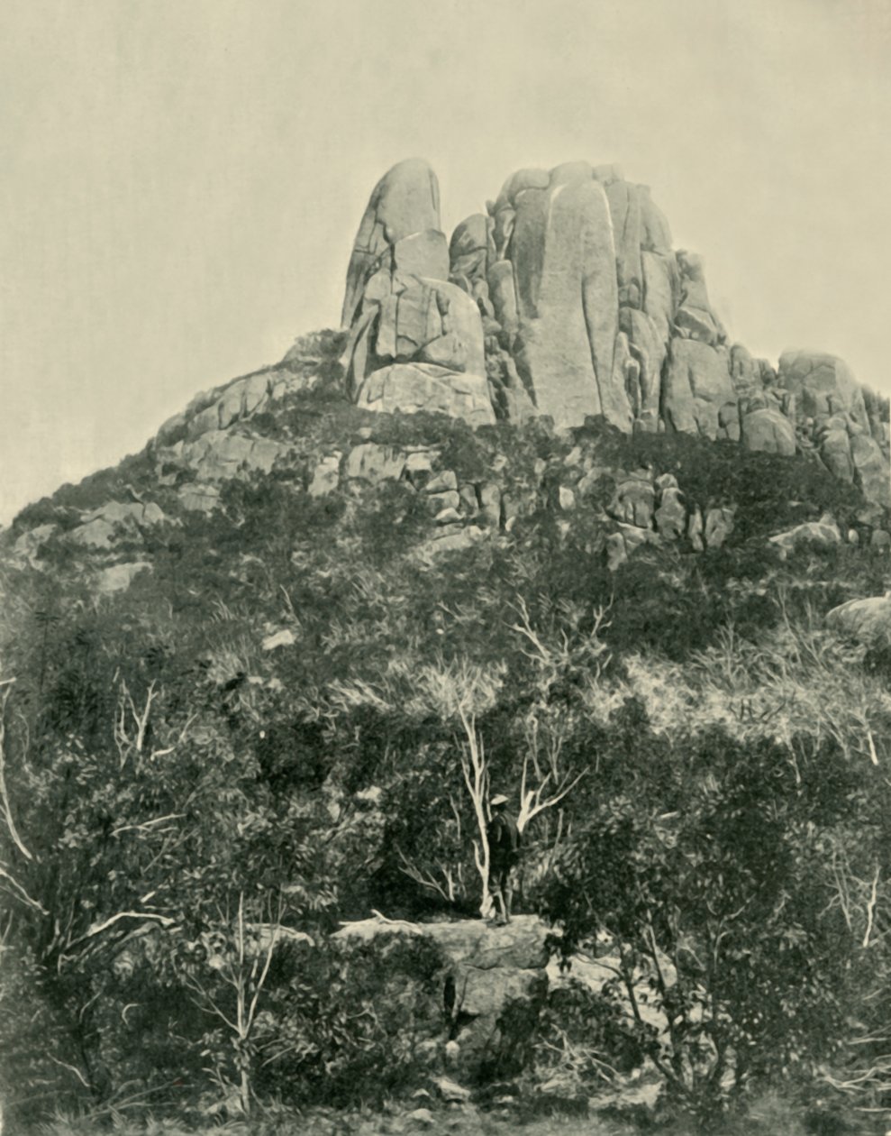 Puckeln, Buffalo Mountains, 1901. av Unbekannt