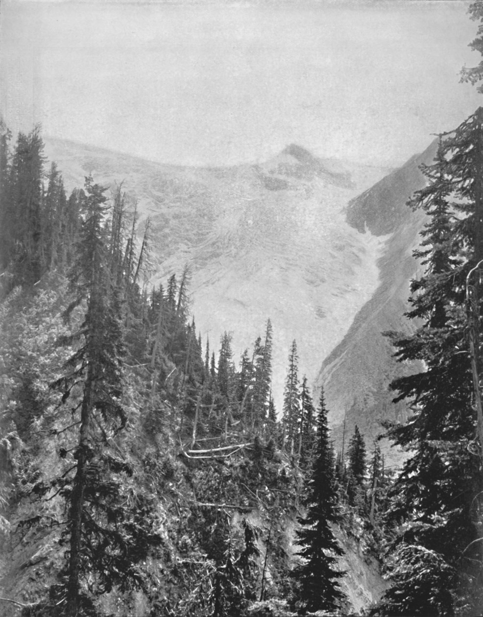 Illecillewaet-glaciären, 1800-talet av Unbekannt