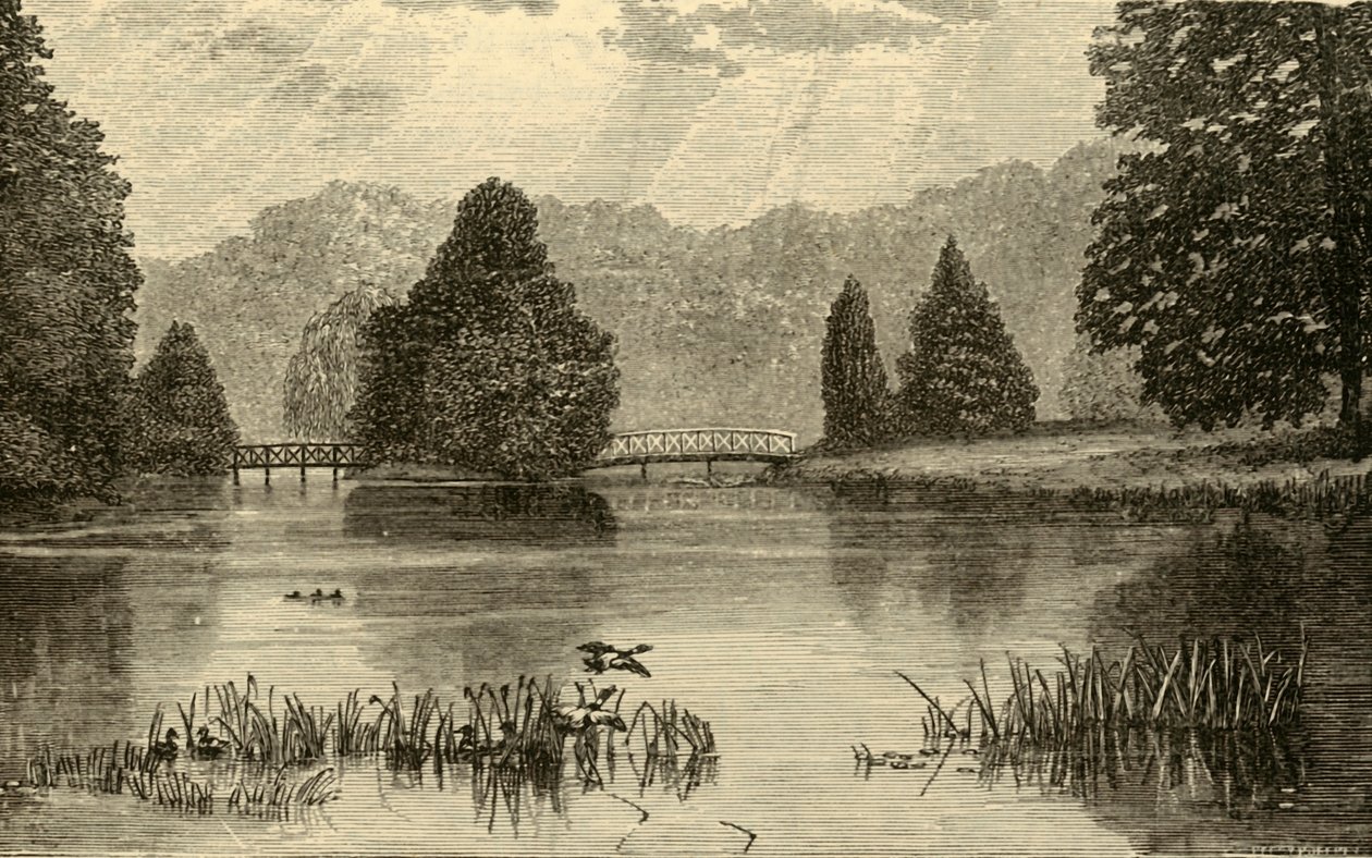 Sjön, Blenheim, 1898. av Unbekannt