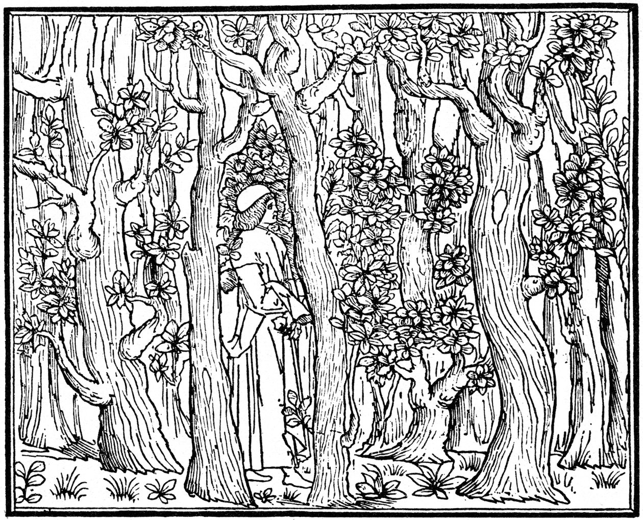 Älskaren i skogen, 1499 1964 av Unbekannt