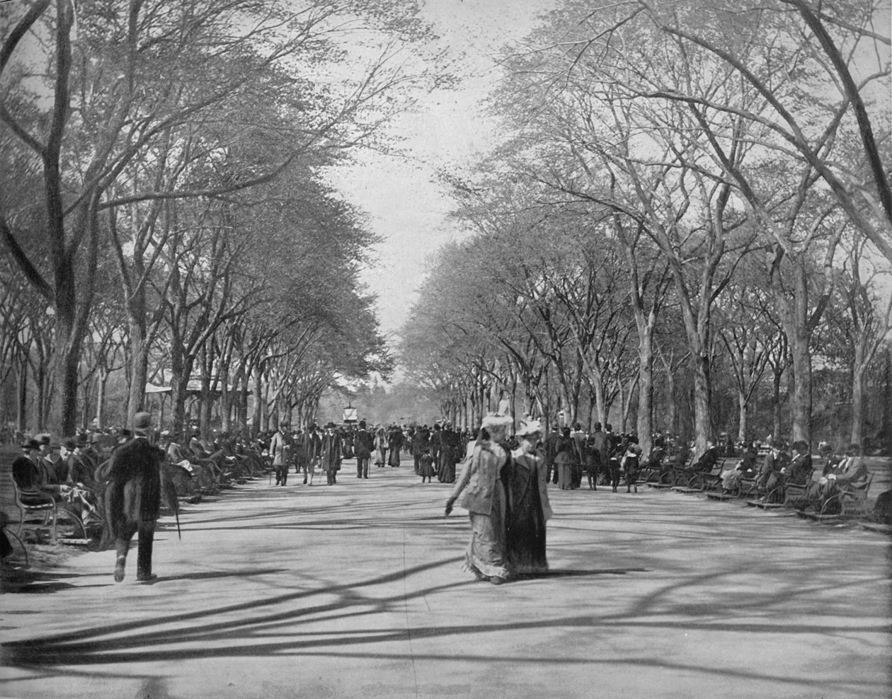 The Mall, Central Park, New York, c1897. av Unbekannt