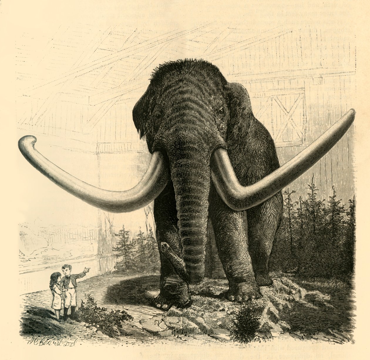 S:t Petersburgs mammut, 1883. av Unbekannt