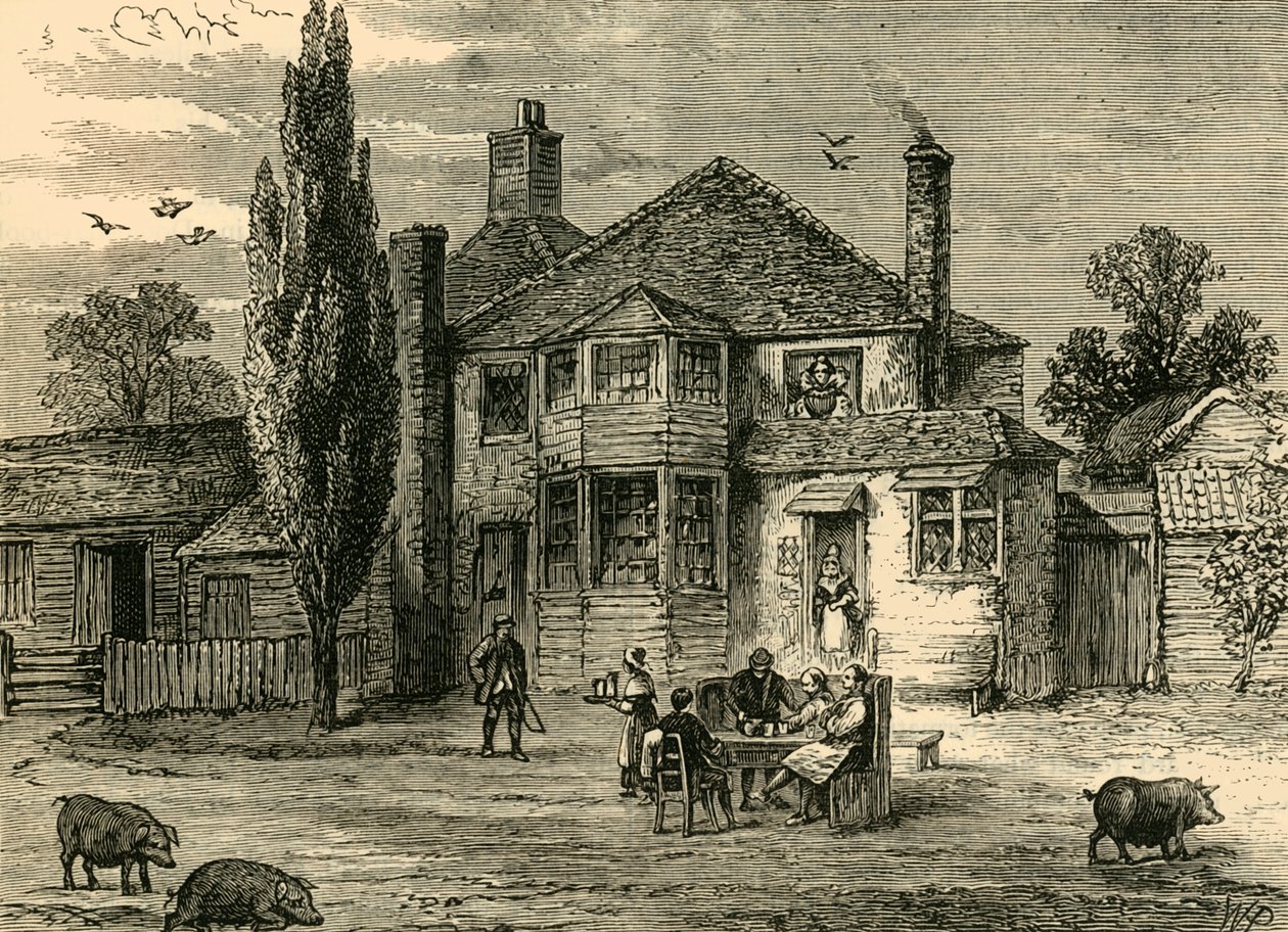 Drottningens huvud och kronärtskocka., c1876. av Unbekannt