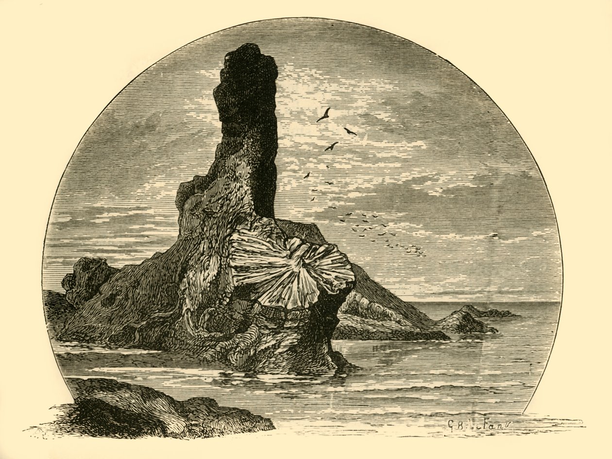 Klippan och spindeln, 1898. av Unbekannt