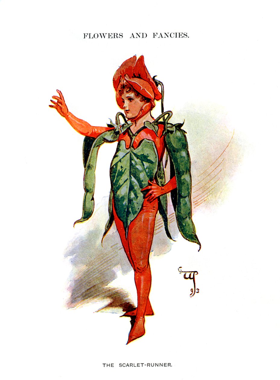 The Scarlet Runner, 1899 av Unbekannt