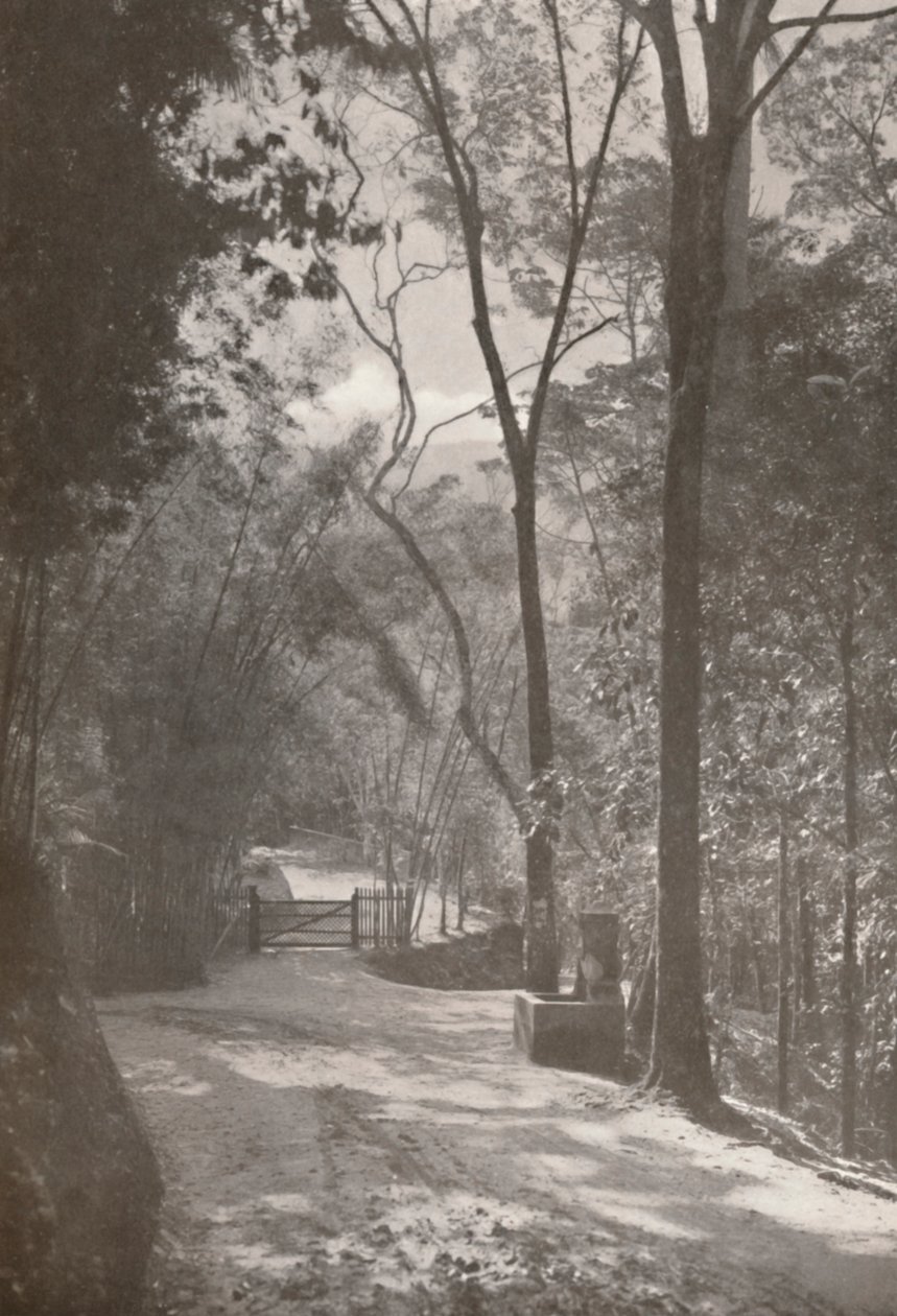 The Spirit of Tijuca, 1914 av Unbekannt