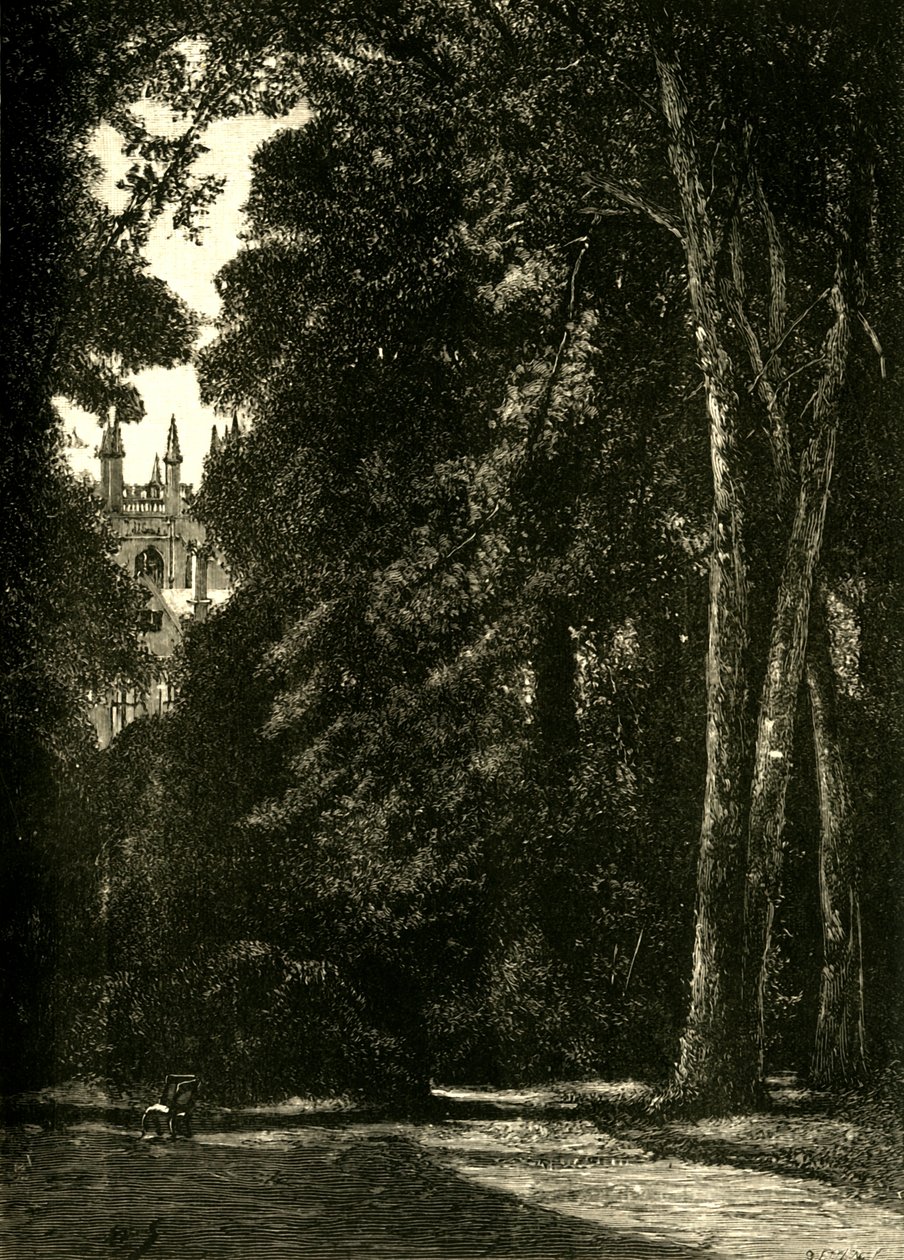 The Tower of Merton, från trädgården, 1898. av Unbekannt