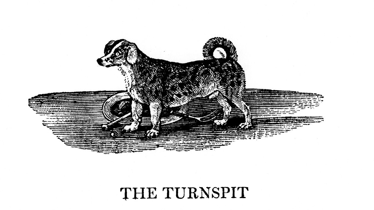Tunspitten, 1790 av Unbekannt