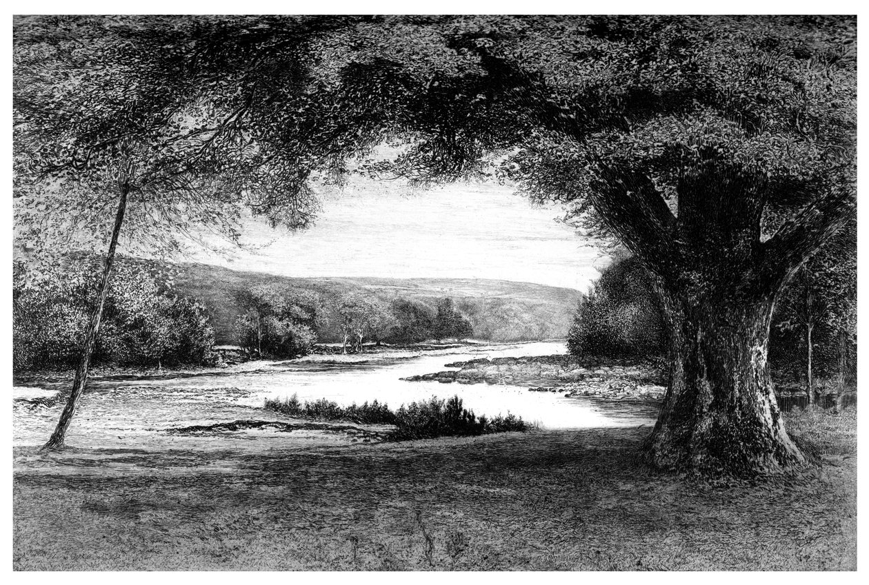 The Vale of Avoca, 1895 av Unbekannt