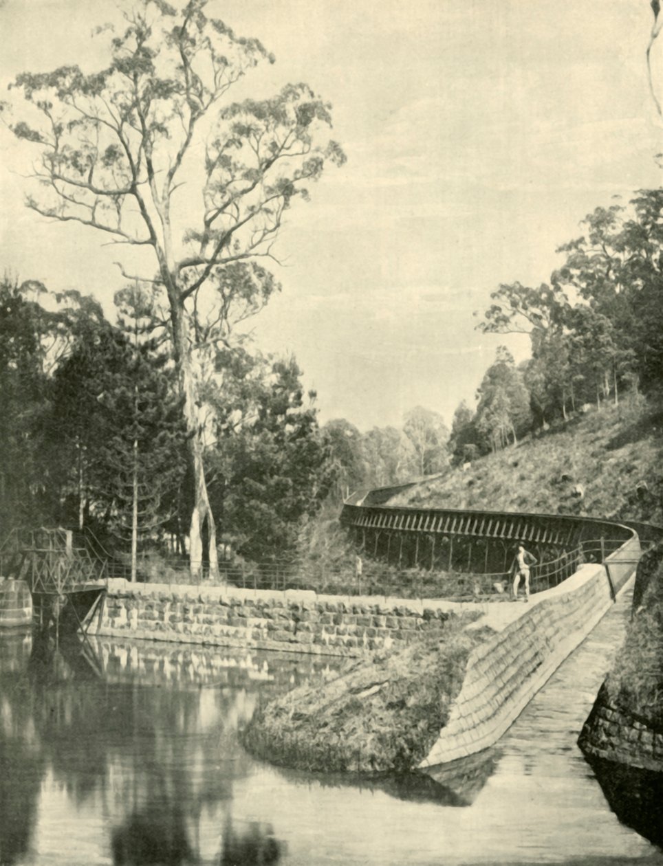 The Weir and Fluming, Kirks Reservoir, 1901. av Unbekannt