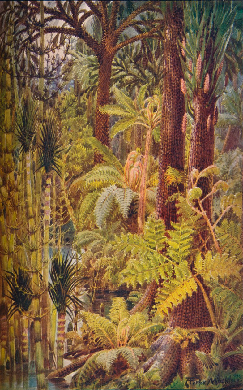 Kolålderns gigantiska vegetation, 1907. av Unbekannt