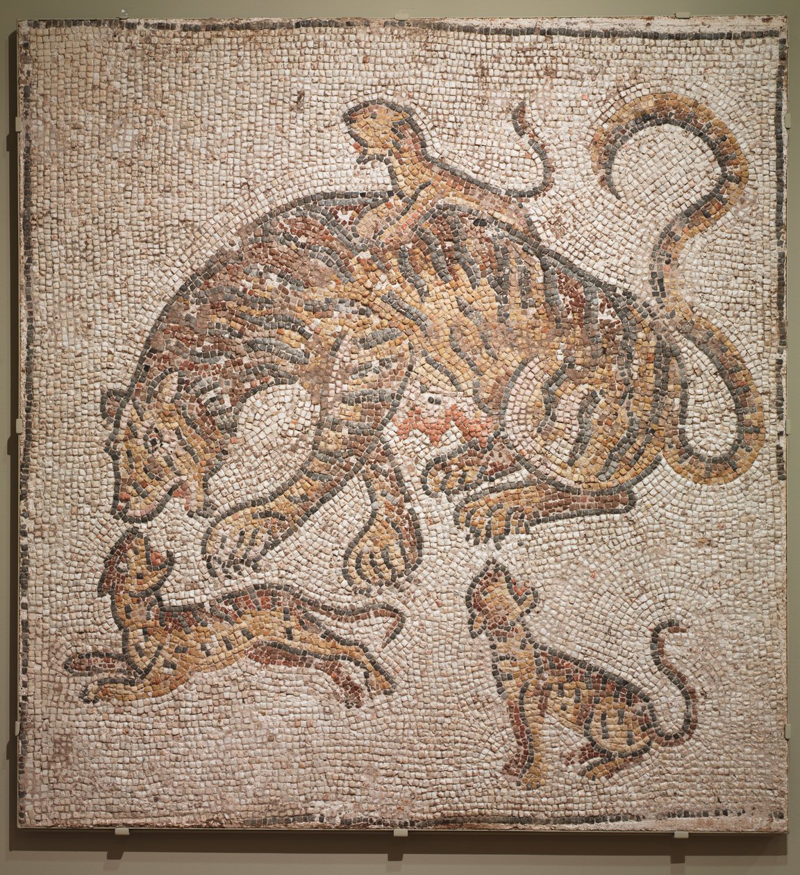 Tigress och ungar, 300-tal. av Unbekannt
