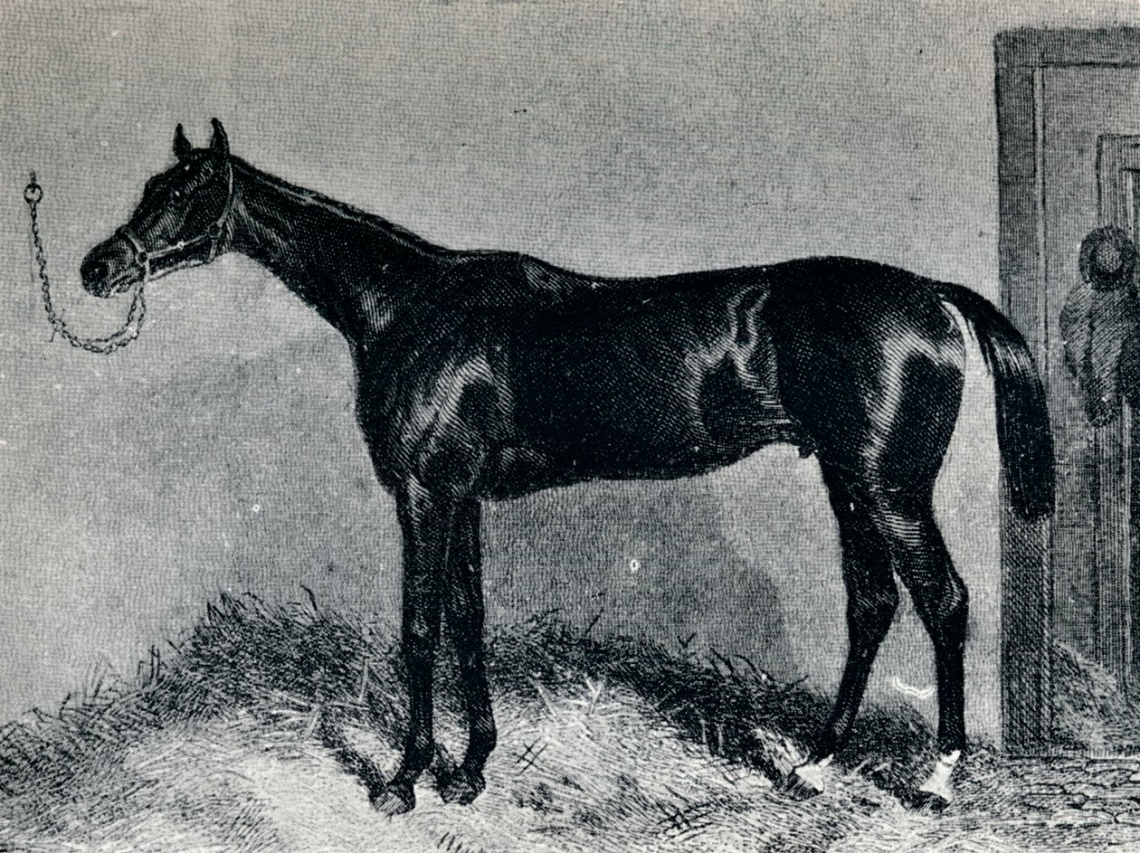 Tim Whiffler, c1860-talet, 1911 av Unbekannt