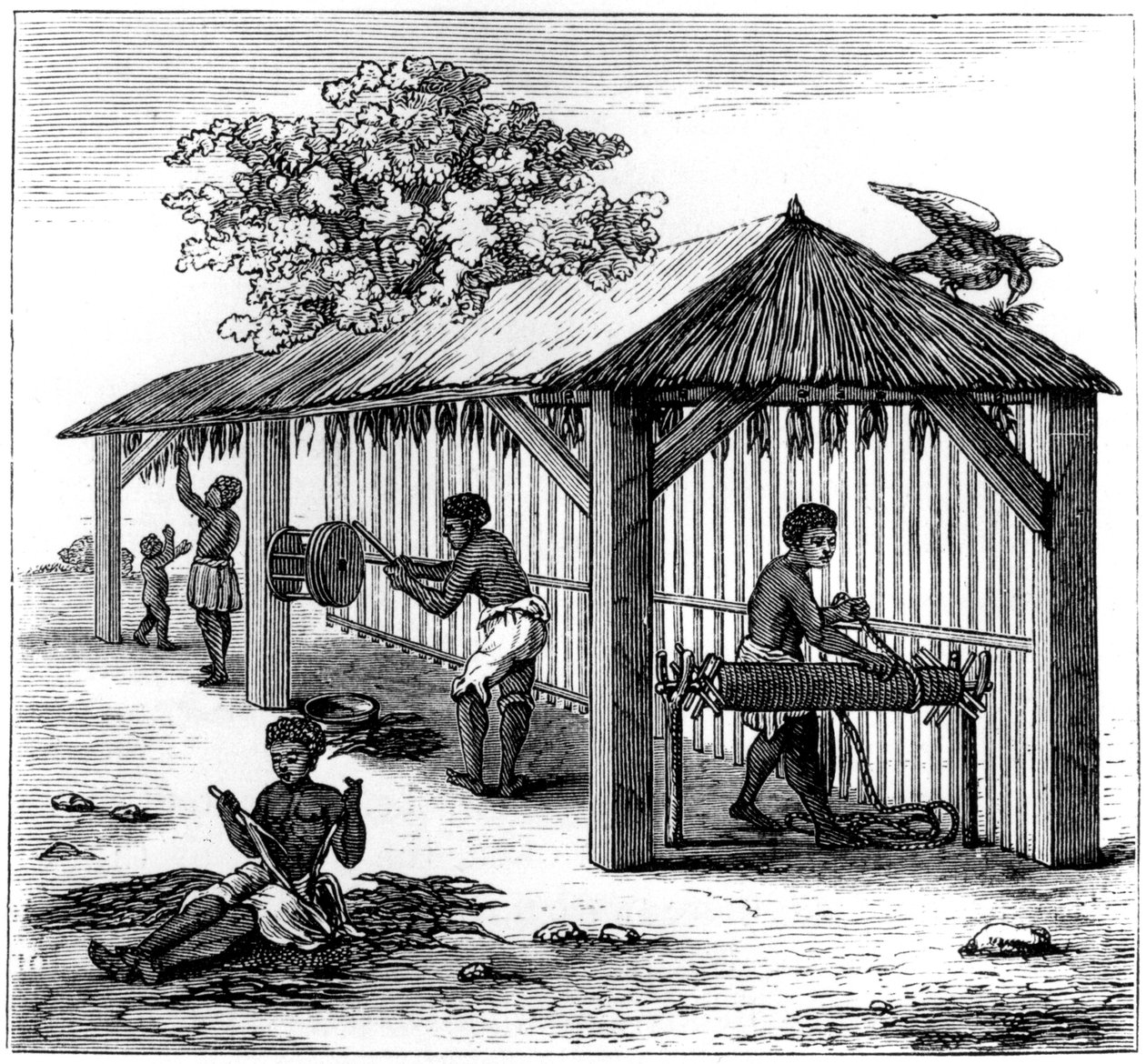 Tobaksberedning, 1873 av Unbekannt