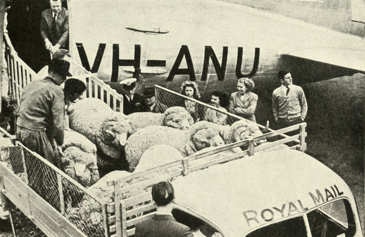 Transport av prisbaggar med flyg, c1948. av Unbekannt