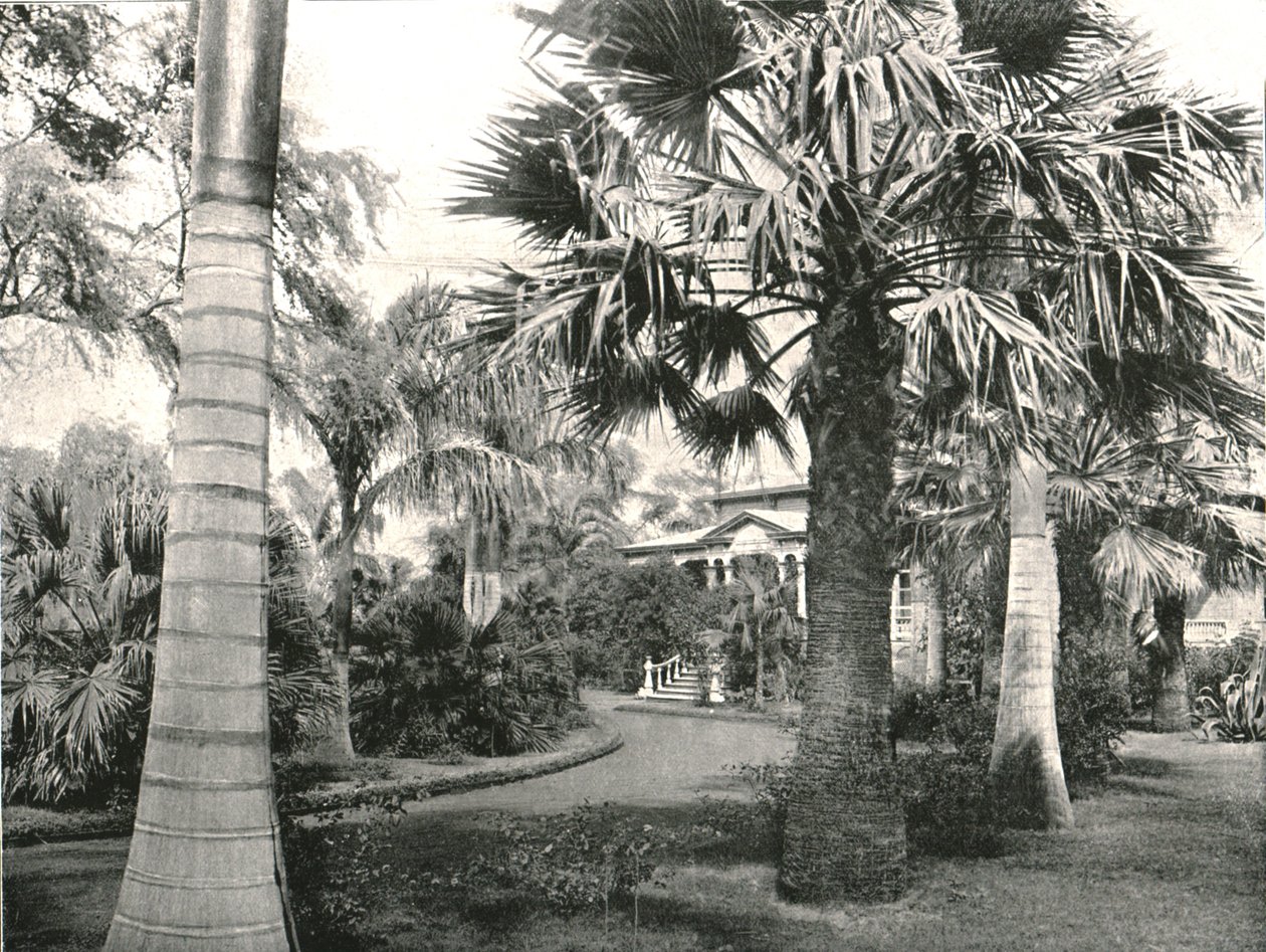 Typisk hawaiiansk gård, Honolulu, USA, 1895. av Unbekannt