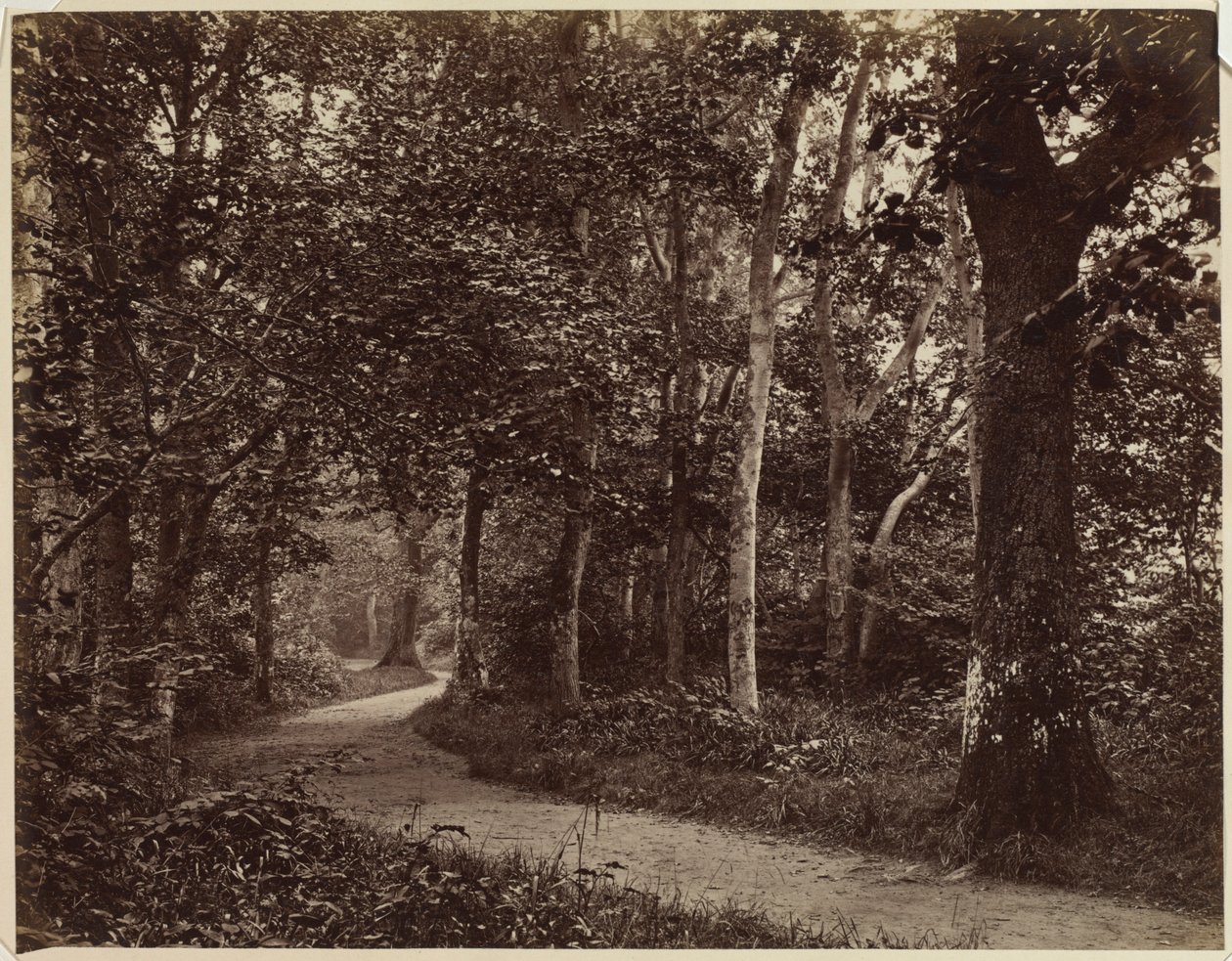 Utan titel Landskap, tidigt 1860-tal. av Unbekannt