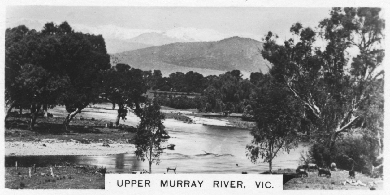 Upper Murray River, Victoria, Australien, 1928 av Unbekannt