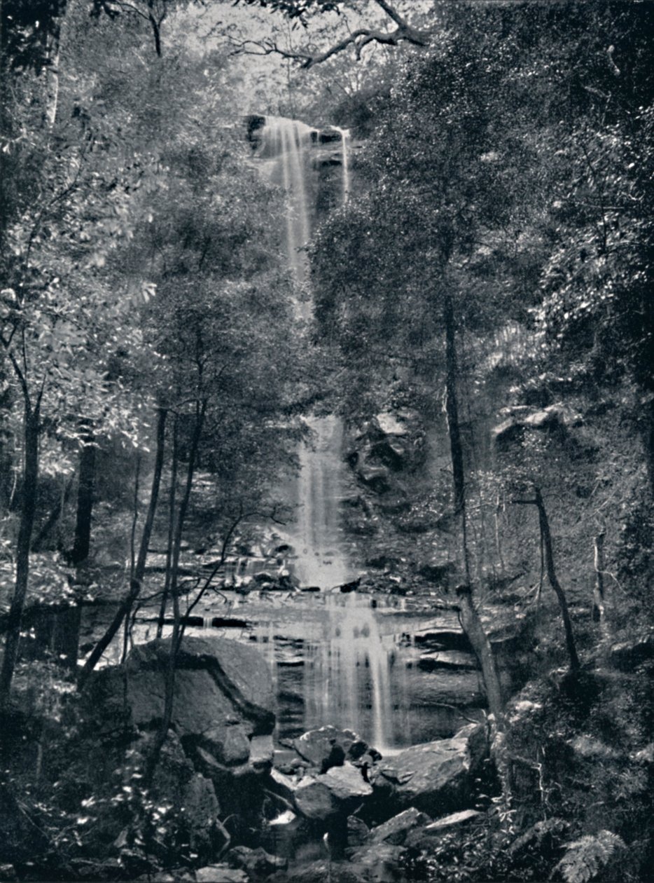 Valley of the Waters, Blue Mountains, c1900. av Unbekannt