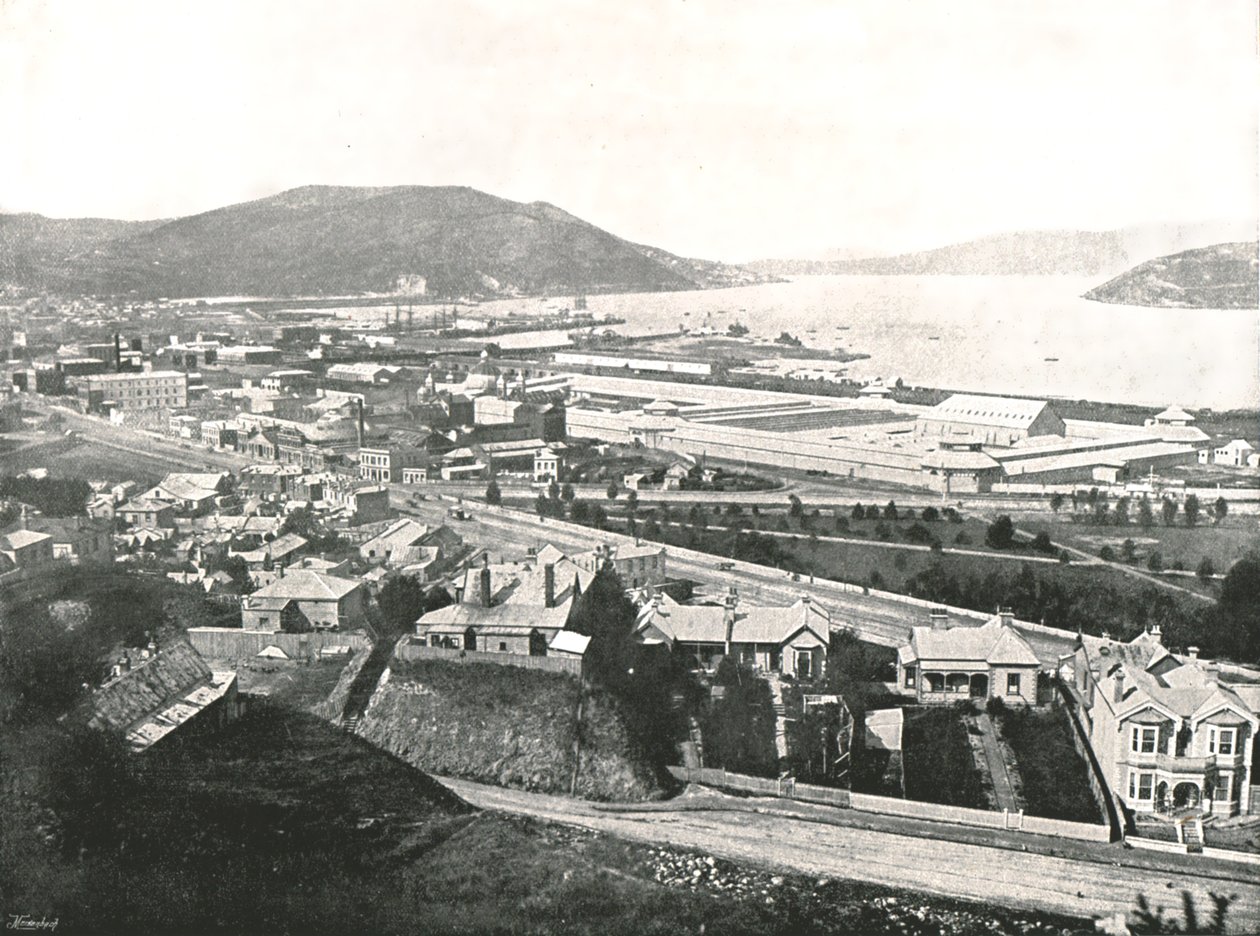 Utsikt från Maitland Street, Dunedin, Nya Zeeland, 1895. av Unbekannt
