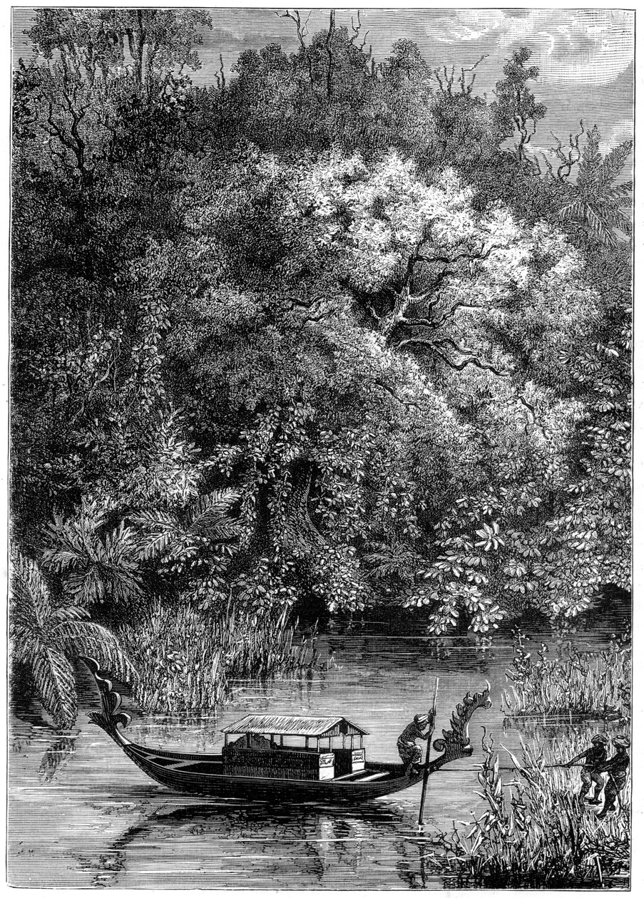Utsikt över floden Dodinga, Nya Guinea, 1877 av Unbekannt