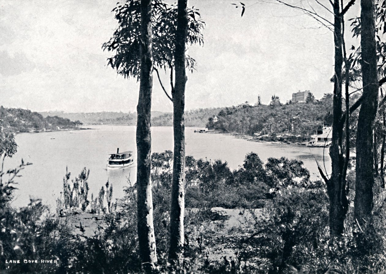 Utsikt över floden Lane Cove, c1900. av Unbekannt