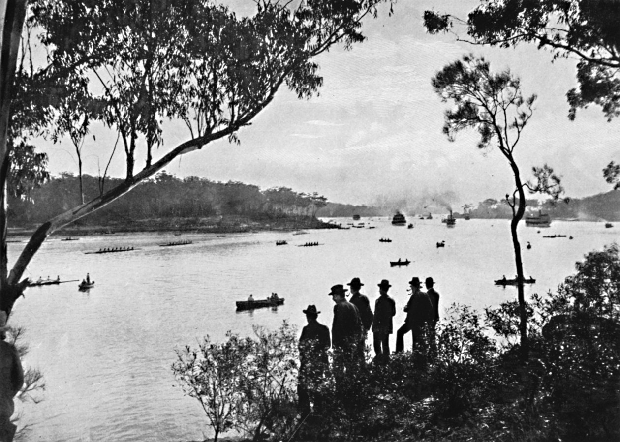 Utsikt över Parramattafloden, c1900. av Unbekannt