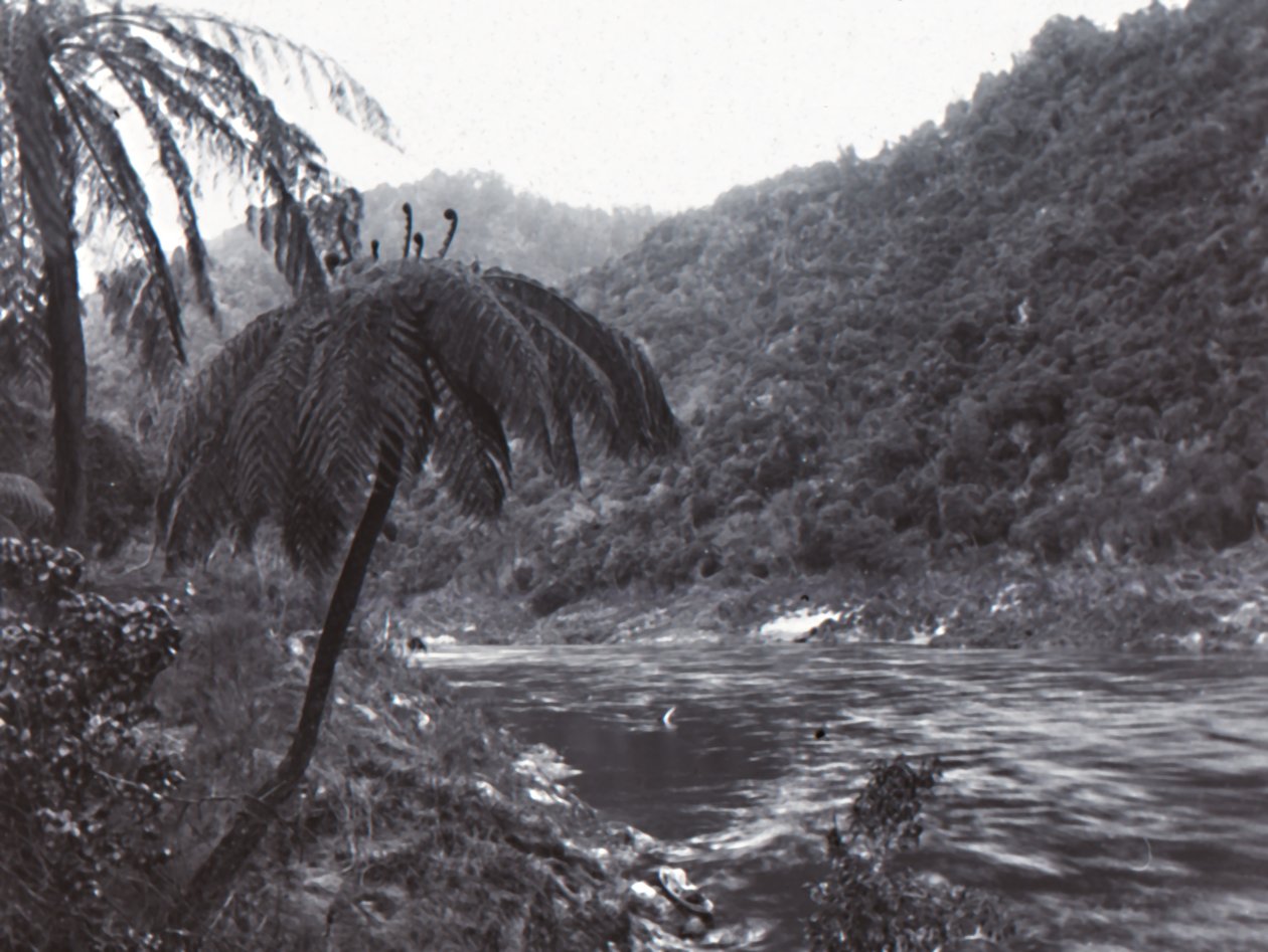 Wanganui River, sent 1800-tidigt 1900-tal. av Unbekannt