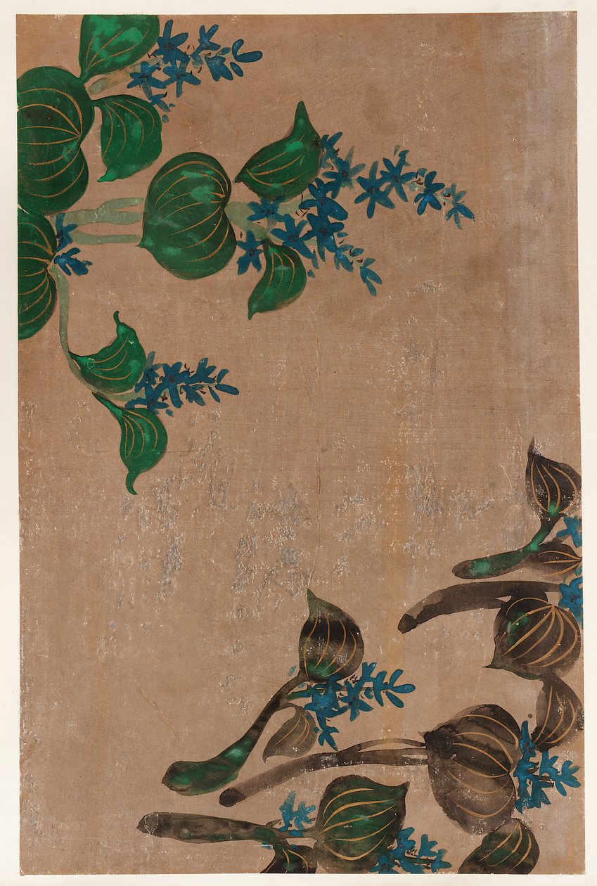 Vattenväxter med blå blommor, Edo-perioden, 1615-1868. av Unbekannt