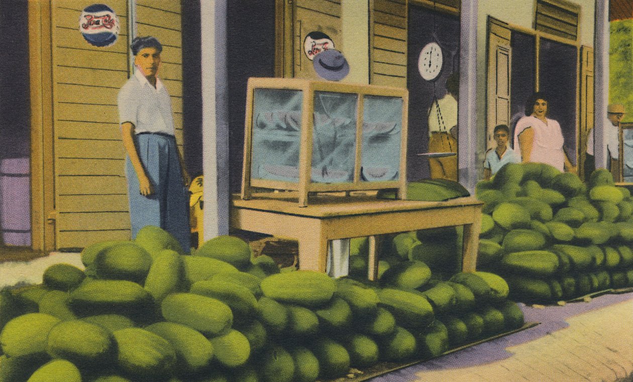 Vattenmeloner till salu, Trinidad, B.W.I., c1940-talet. av Unbekannt