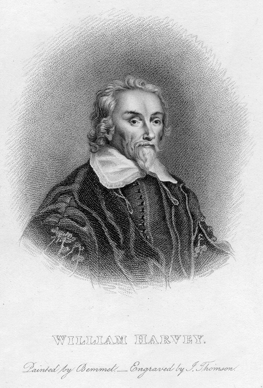 William Harvey 1578-1657 engelsk läkare, c1600-talet av Unbekannt