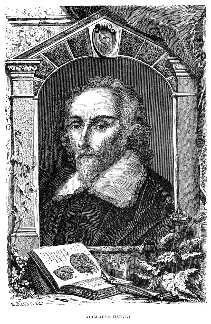 William Harvey 1578-1657 engelsk läkare, c1600-talet av Unbekannt