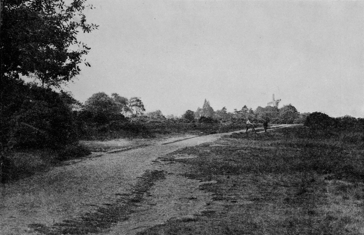 Wimbledon Common and the Windmill, c1900, 1912 av Unbekannt